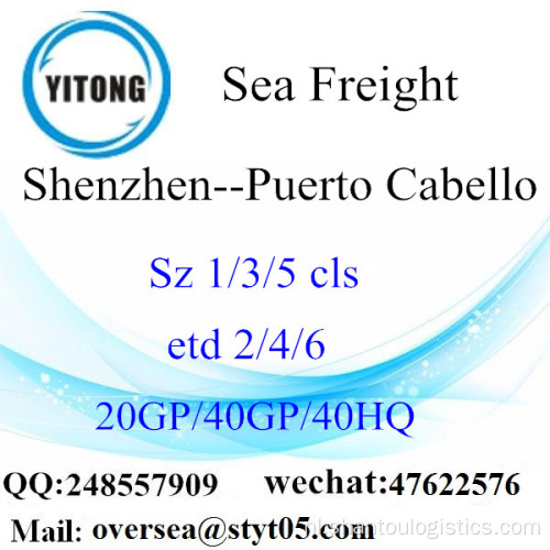Shenzhen Port Zeevracht Shipping Naar Puerto Cabello